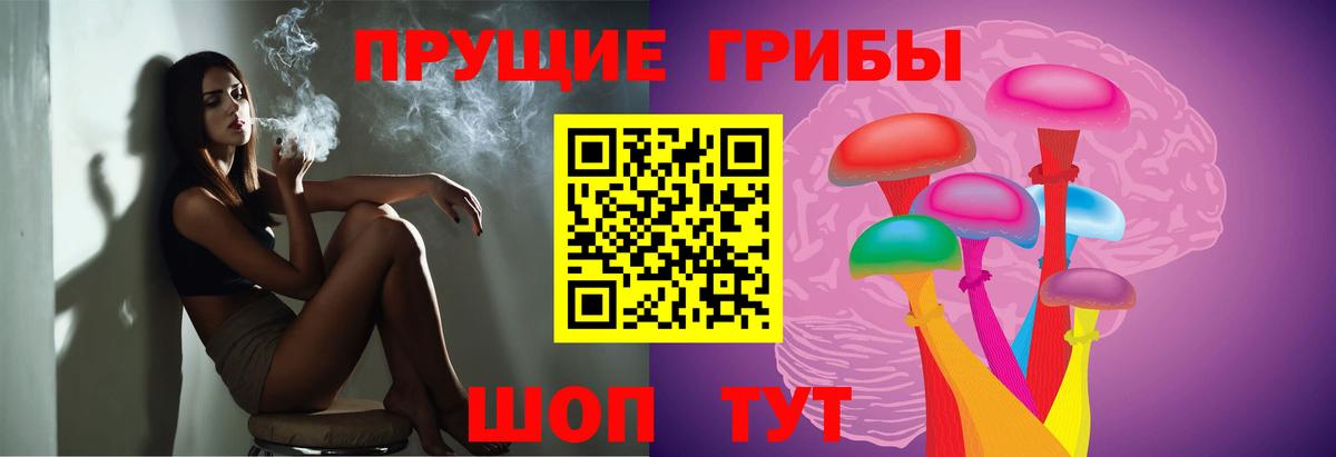 Галлюциногенные грибы Psilocybine cubensis  Вход с VPN  хочу   Пугачёв 